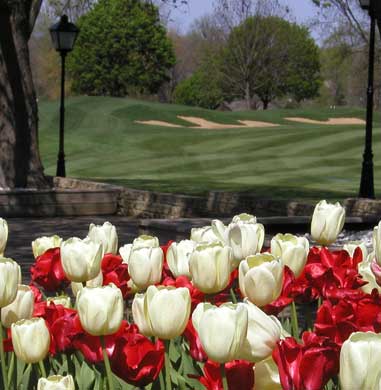 Drop Zone: St. Charles, Illinois