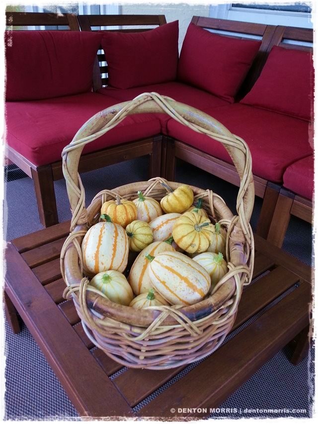 Gourds2 on porch by Denton Morris